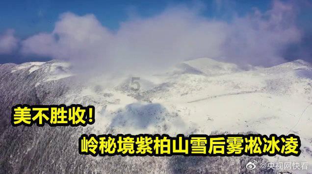 王者荣耀女生名字独特