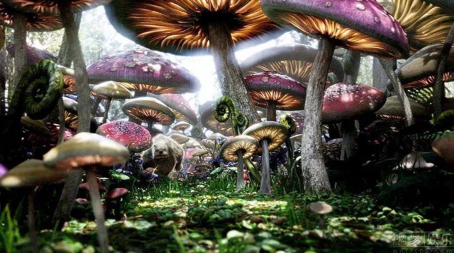 许佳琪早期水着泳装,青春有你2A班选手